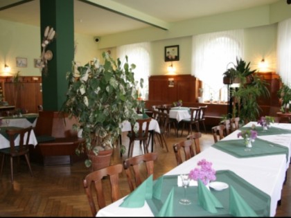 Foto: Gruner Baum